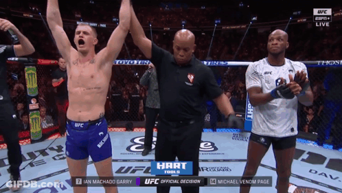 UFC Fight On Television Screen GIF