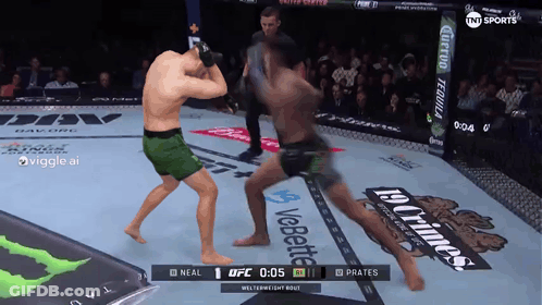 UFC Fight On TV GIF