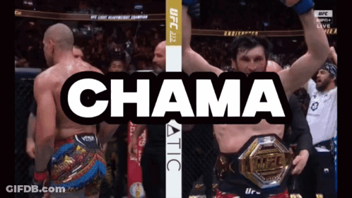 UFC Fight On TV Screen GIF