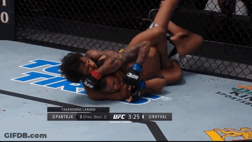 UFC Fight Pantoja Vs Groyval In Cage GIF