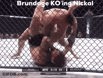 UFC Fight Reese Vs Brundage GIF