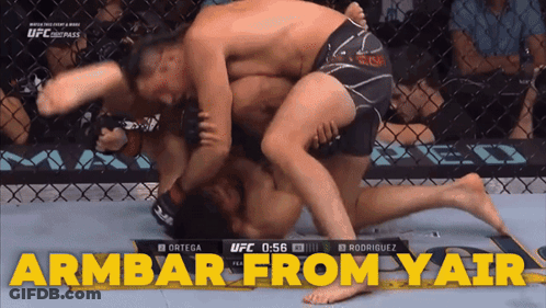 UFC Fight Rodriguez Vs Ortega GIF