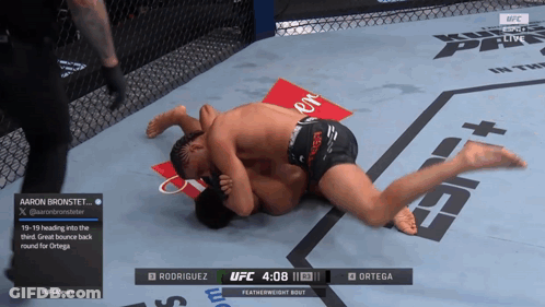 UFC Fight Rodriguez Vs Ortega GIF