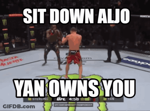 UFC Fight Screenshot Sit Down Aljo Yan Owns You GIF