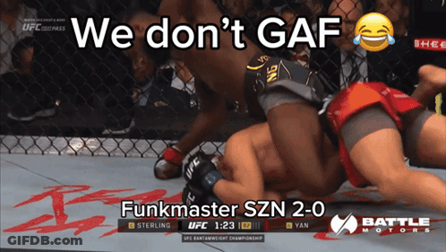 UFC Fight Screenshot We Don't Gaf GIF