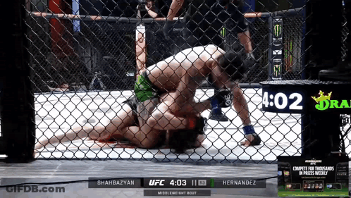 UFC Fight Shahbazyan Vs Hernandez On Screen GIF