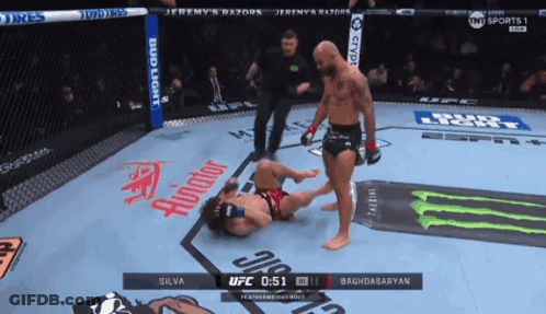 UFC Fight Silva Vs Baghdasaryan On ESPN GIF