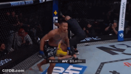UFC Fight Silva Vs Van GIF