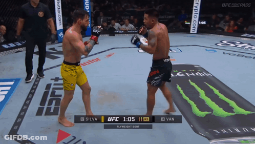 UFC Fight Silva Vs Van GIF