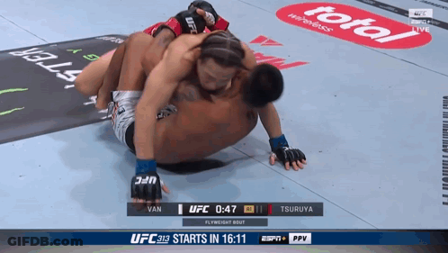 UFC Fight Van Vs Tsuruya GIF