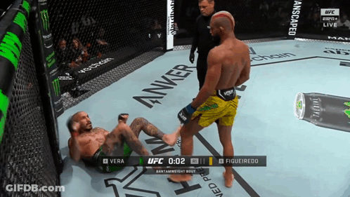 UFC Fight Vera Vs Figueiredo On ESPN GIF