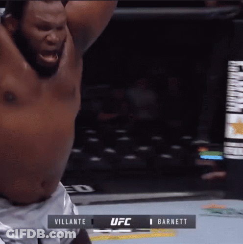 UFC Fight Villante Vs Barnett GIF