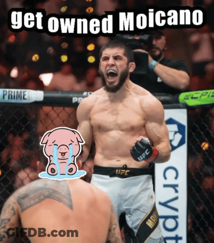 UFC Fighter Get Owned Moicano GIF