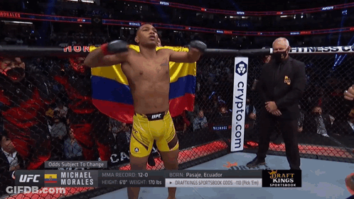 UFC Fighter Holding Flag In Ring GIF