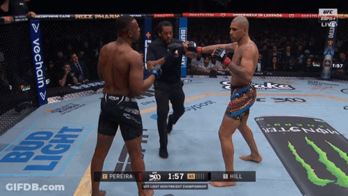 UFC Lightweight Championship Pereira Vs Hill 1:57 Left GIF