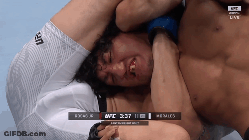 UFC Match Between Morales And Rosas Jr GIF