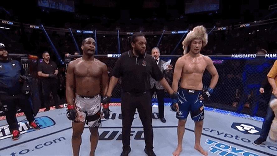 Ufc Shavkat Rakhmonov Winner GIF