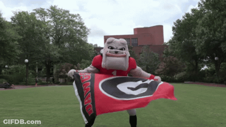 UG Georgia Bulldog Mascot GIF
