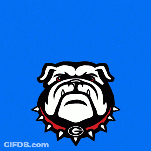 Uga Dawgs For Warnock Vote Early GIF