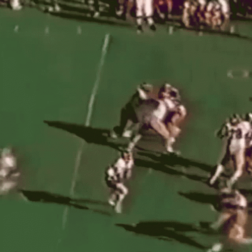 Uga Former Football Player Herschel Walker GIF