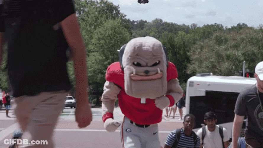 Uga Mascot Hairy Dawg Doing Jumping Jacks GIF