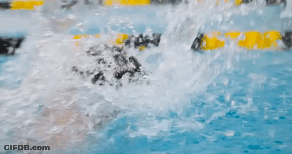Uga Swimmer Doing Butterfly Stroke In Water GIF