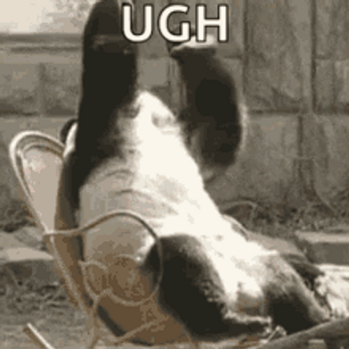 Ugh Devastated Panda Reaction GIF