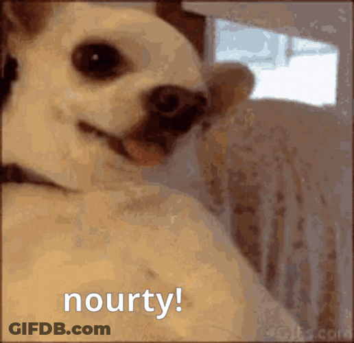 Ugly Dog Is Angry GIF