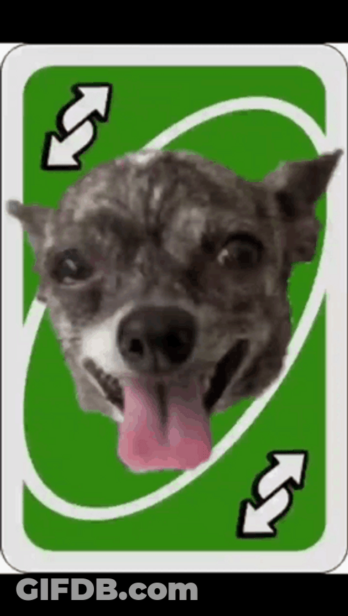Ugly Dog Uno Reverse Card GIF