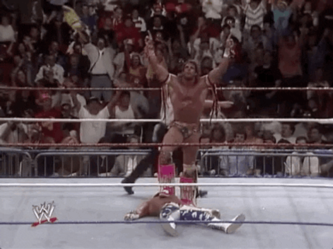 Ultimate Warrior Declared As Winner GIF