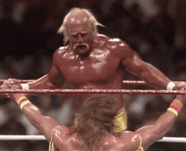 Ultimate Warrior Fighting Hulk Hogan GIF