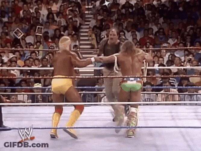 Ultimate Warrior With Hulk Hogan GIF