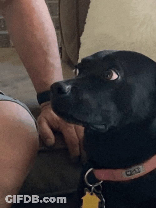 Umm GIF