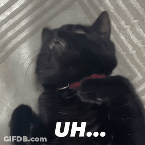 Umm Ok Black Cat GIF