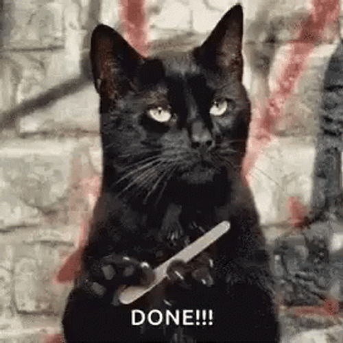 Unamused Cat Filing Her Nail Done GIF