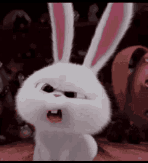 Unbelievable Huh Rabbit What Seriously GIF