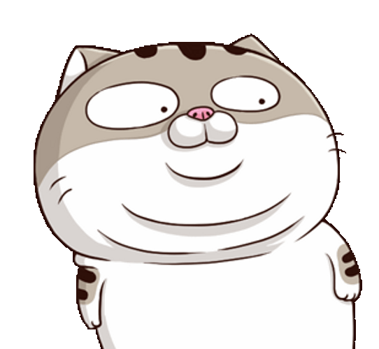 Unbelievable Shocked Cat Wide Eyed GIF