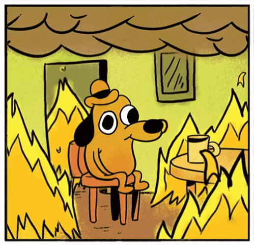 Unbothered Dog On Fire Self Destruct Mode GIF