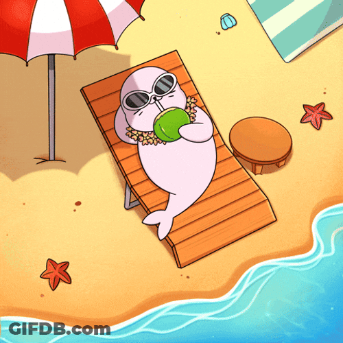 Unbothered Thriving Sea Lion GIF