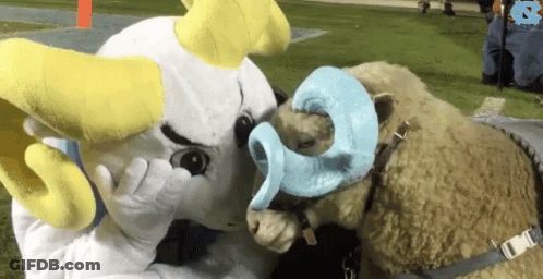 UNC Mascot Next To Two Sheep GIF
