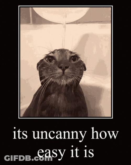 Uncanny Easy Cat Showering GIF