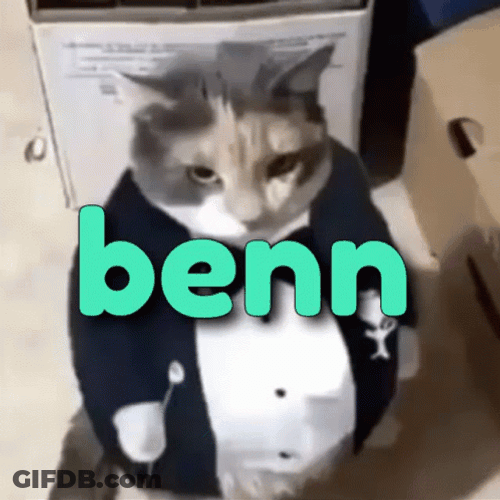 Uncle Ben Angry Cat In Suit GIF