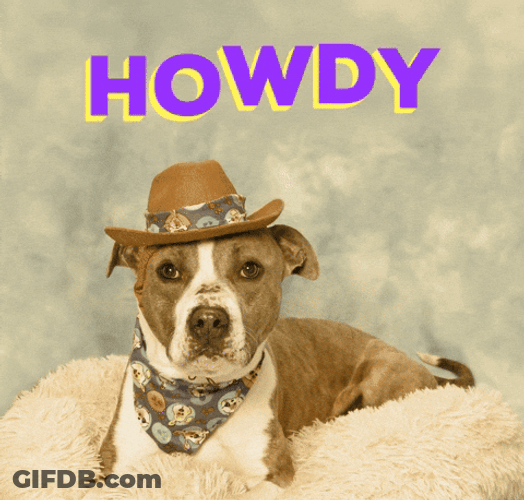Uncle Howdy Cool Dog GIF