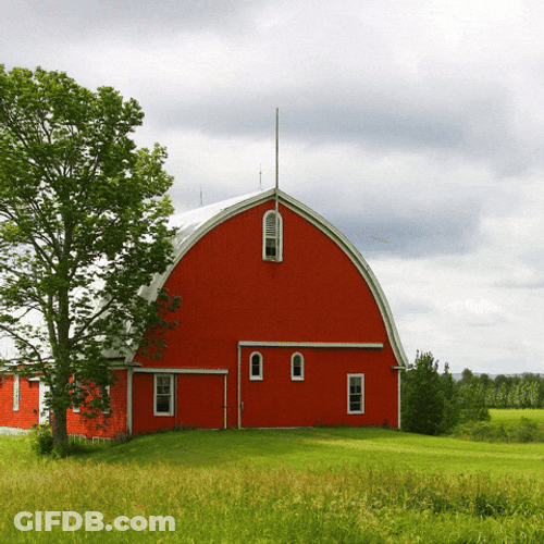 Uncle Howdy Farm GIF