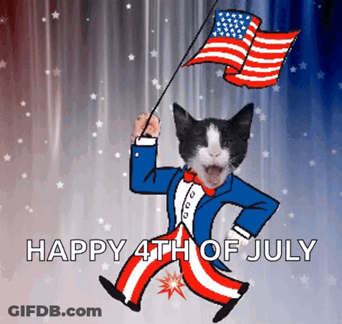 Uncle Sam Cat Holding American Flag Happy 4Th Of July GIF