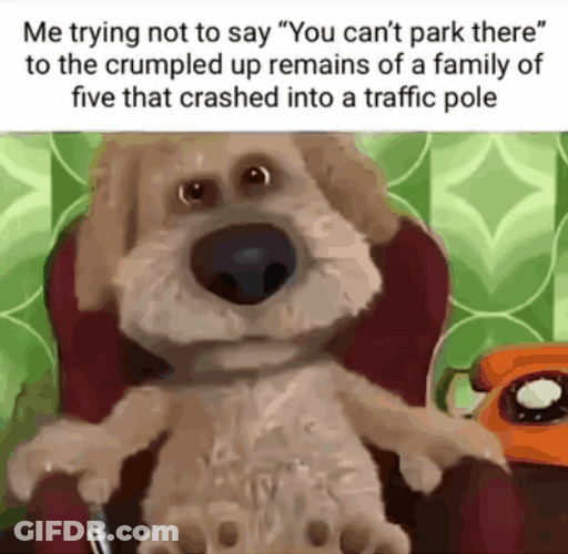 Uncle Talking Ben The Dog GIF