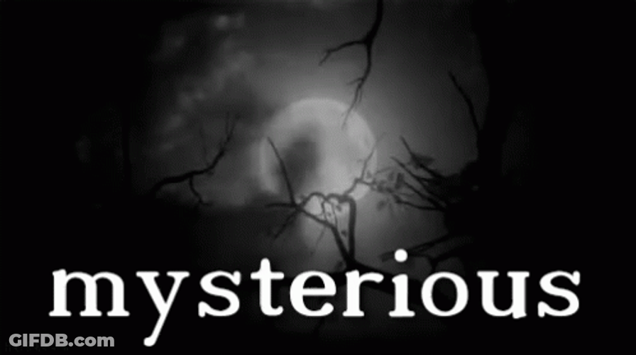 Uncovering Mystery One Mysterious Night GIF