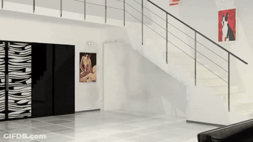 Under Stair Cabinet Doors Digital Illustration GIF