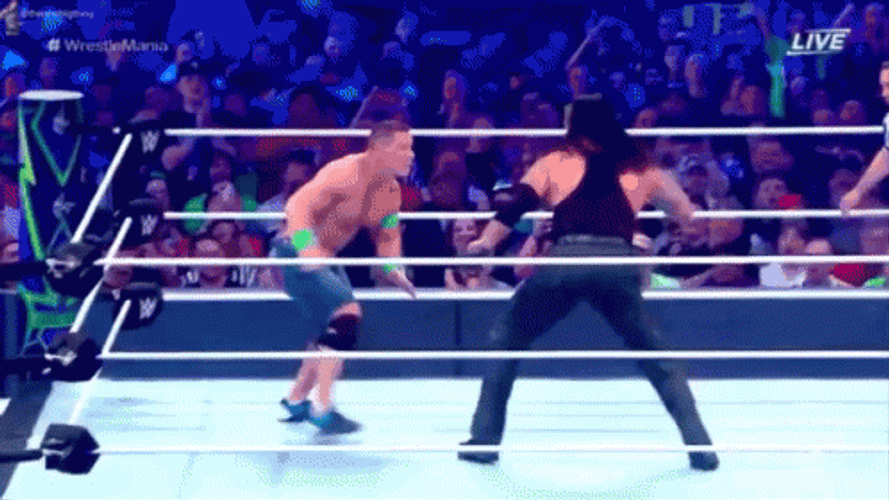 Undertaker Chokeslam John Cena GIF