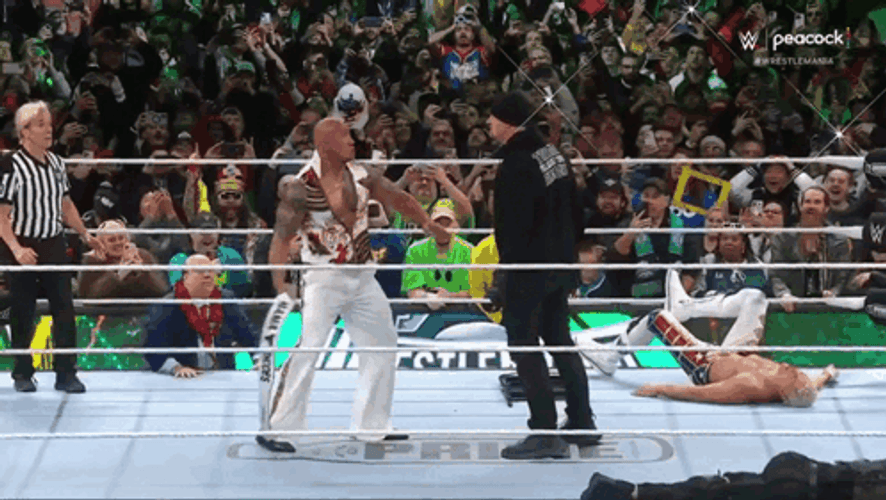 Undertaker Chokeslam The Rock On Wrestlemania 40 GIF